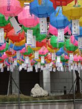 Lanterns for Buddhas Birthday outside of a Buddhist place